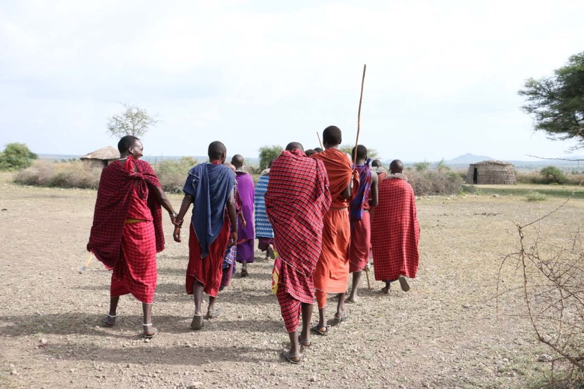 maasai, african, jungle, safari, tanzanian, tanzania