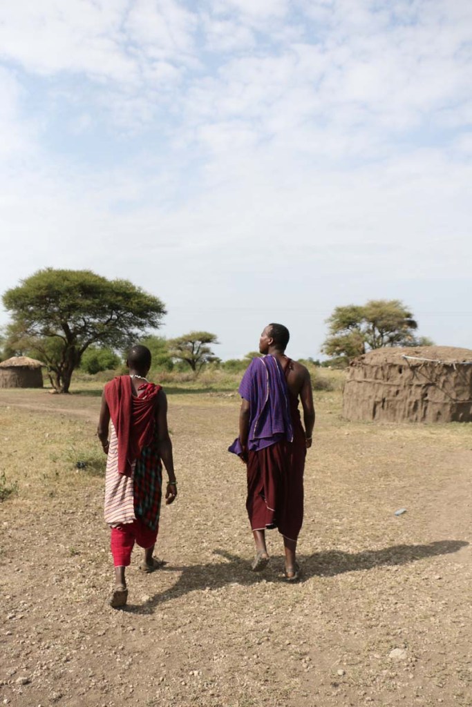 maasai, african, jungle, safari, tanzanian, tanzania