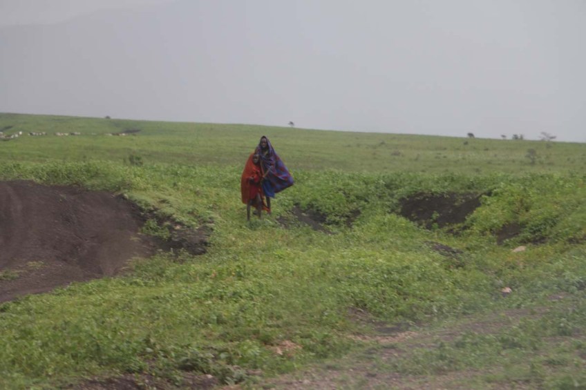 maasai, african, jungle, safari, tanzanian, tanzania