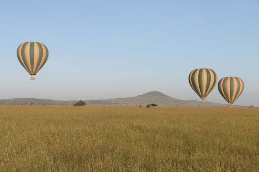 hot air balloon, safari, jungle, Serengeti, sunrise