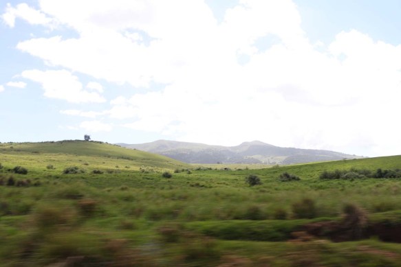 safari, tanzania, jungle, serengeti, ngorongoro crater, lake manyara