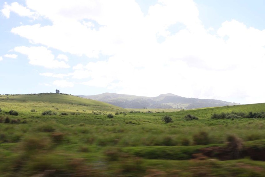 safari, tanzania, jungle, serengeti, ngorongoro crater, lake manyara