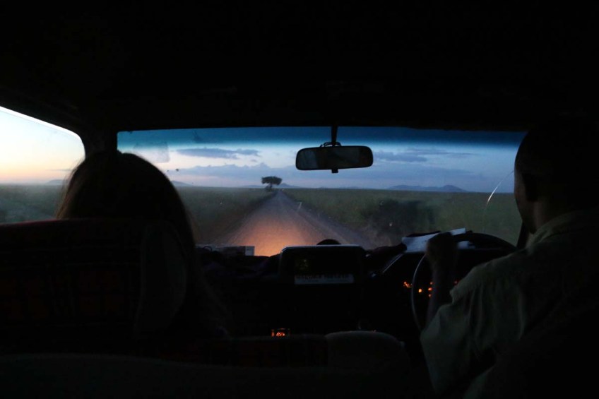 ride, jungle, tanzania, safari, Serengeti