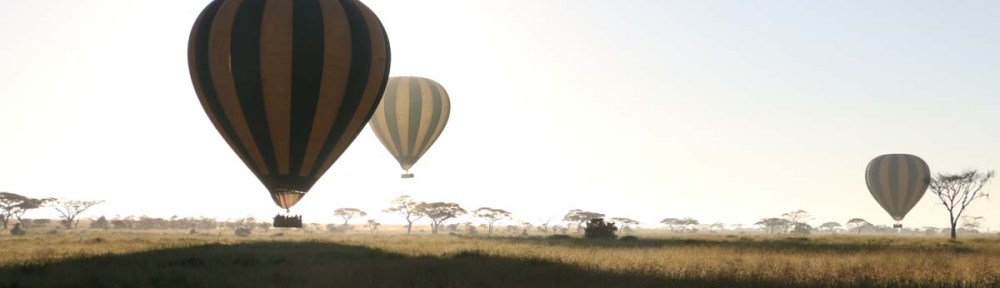 hot air balloon, safari, jungle, Serengeti, sunrise