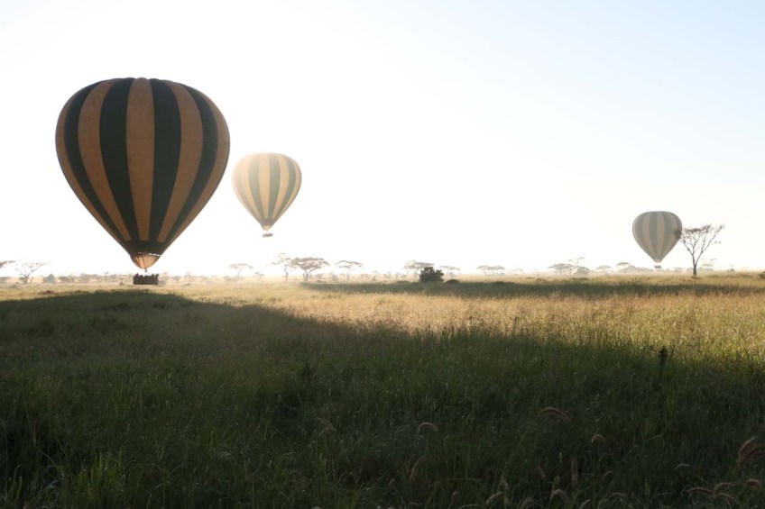 hot air balloon, safari, jungle, Serengeti, sunrise