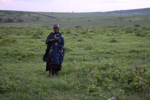 maasai, african, jungle, safari, tanzanian, tanzania