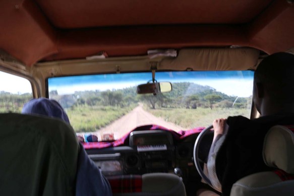 ride, jungle, tanzania, safari, Serengeti
