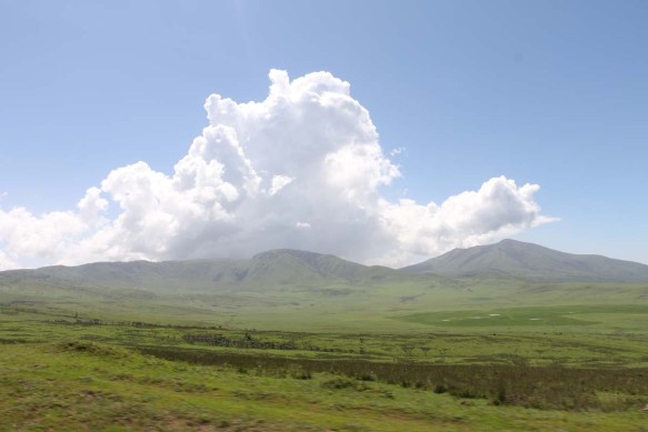 safari, tanzania, jungle, serengeti, ngorongoro crater, lake manyara