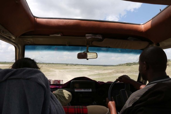 ride, jungle, tanzania, safari, Serengeti