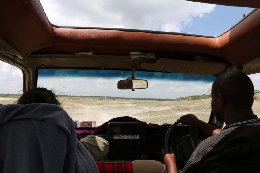 ride, jungle, tanzania, safari, Serengeti