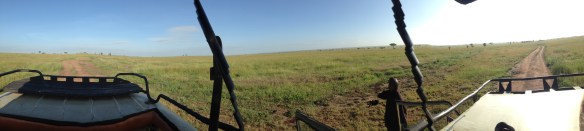 safari, tanzania, jungle, serengeti, ngorongoro crater, lake manyara