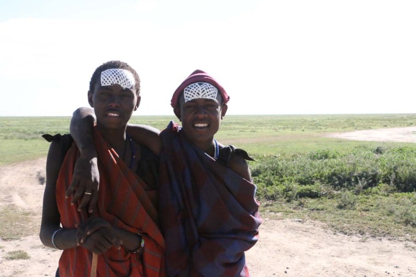 maasai, african, jungle, safari, tanzanian, tanzania
