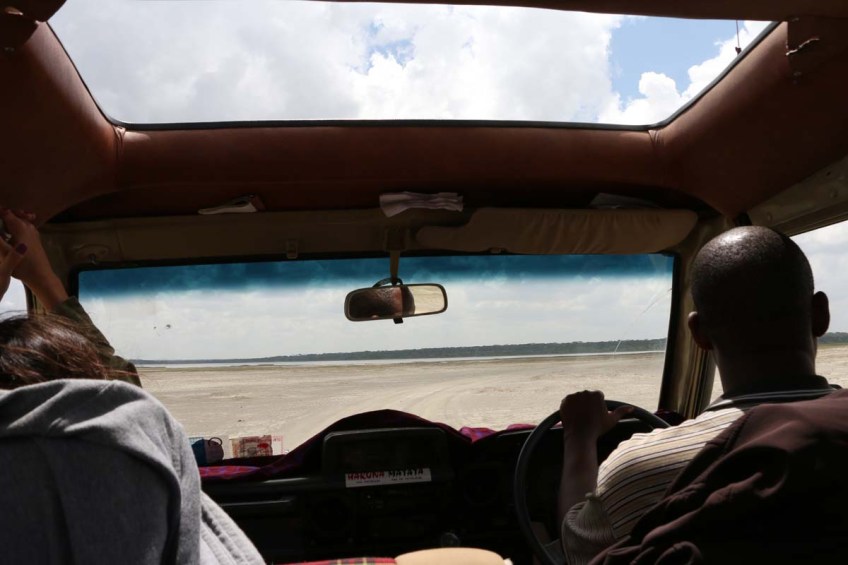 ride, jungle, tanzania, safari, Serengeti