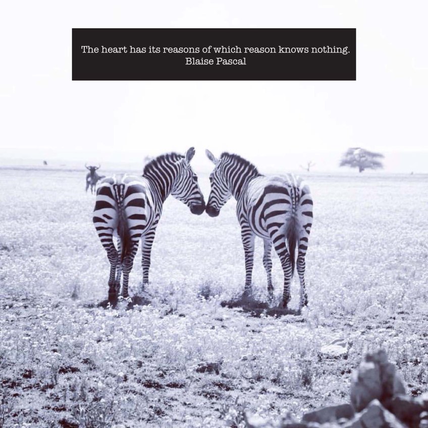 love, valentines, life, quote