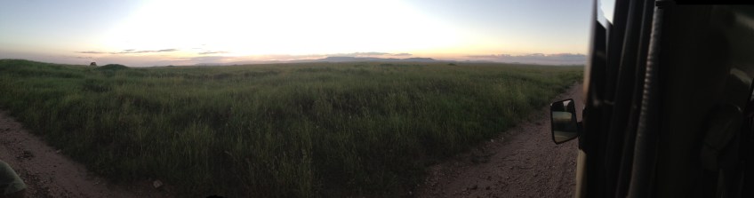 safari, tanzania, jungle, serengeti, ngorongoro crater, lake manyara