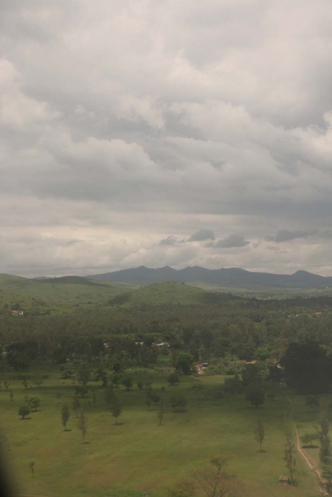Arusha, greenery, Africa, Tanzania