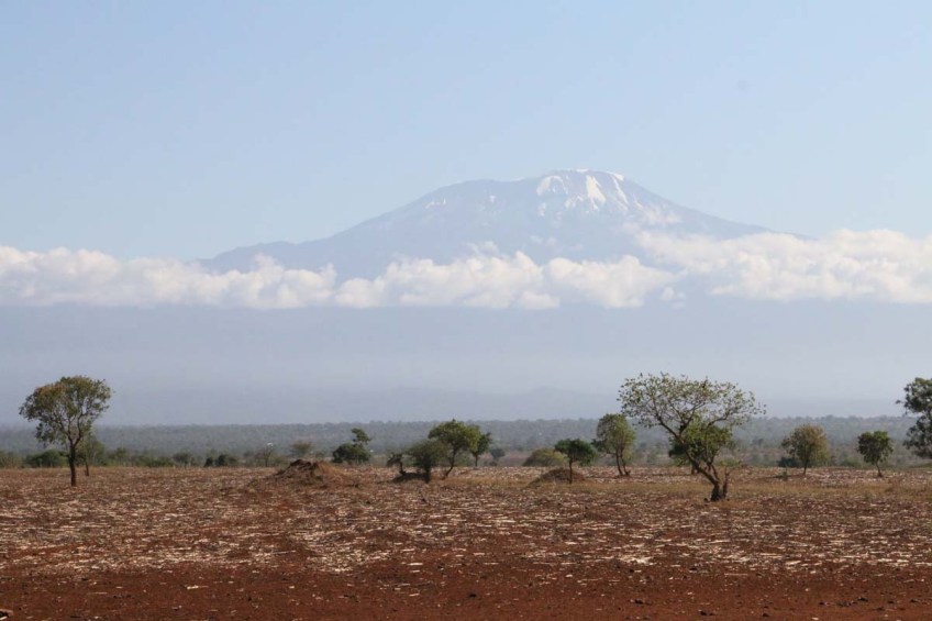 Nature, African, Tanzanian, Moshi, Tanzania, Kilimanjaro