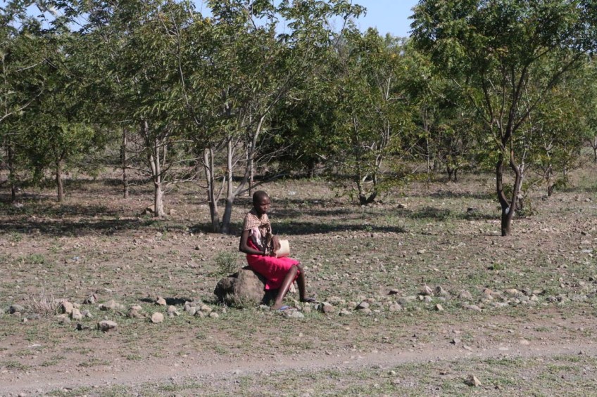 People, African, Tanzanian, Moshi, Tanzania, Kilimanjaro