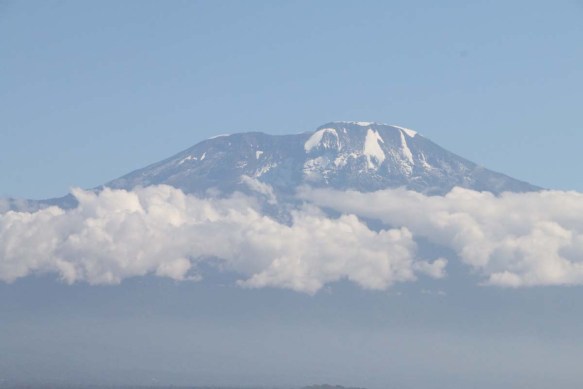 Nature, African, Tanzanian, Moshi, Tanzania, Kilimanjaro