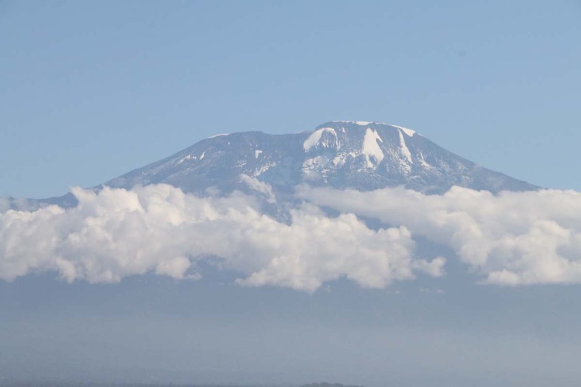 Nature, African, Tanzanian, Moshi, Tanzania, Kilimanjaro