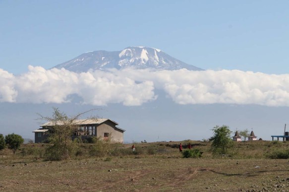 Nature, African, Tanzanian, Moshi, Tanzania, Kilimanjaro