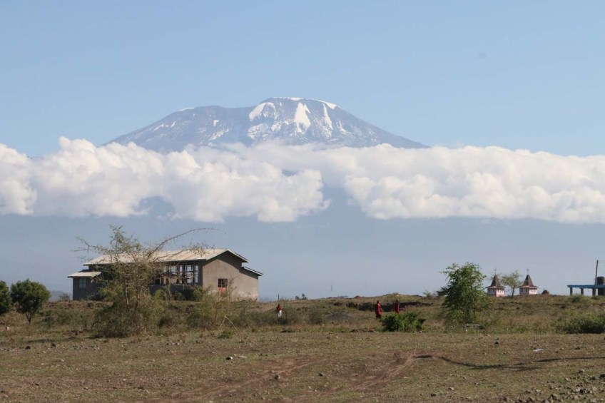 Nature, African, Tanzanian, Moshi, Tanzania, Kilimanjaro