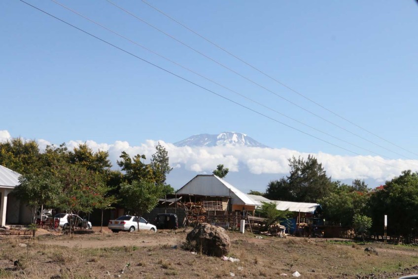 Nature, African, Tanzanian, Moshi, Tanzania, Kilimanjaro