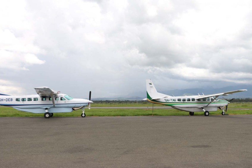 Arusha, greenery, Africa, Tanzania
