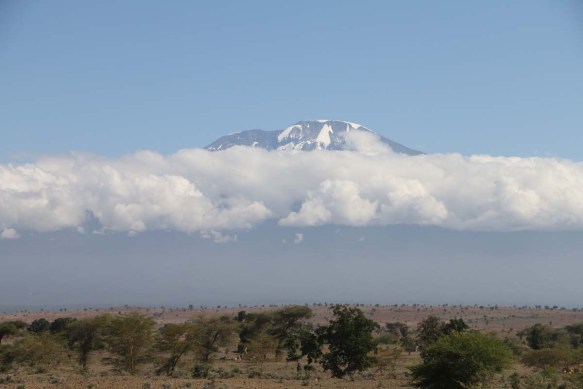 Nature, African, Tanzanian, Moshi, Tanzania, Kilimanjaro
