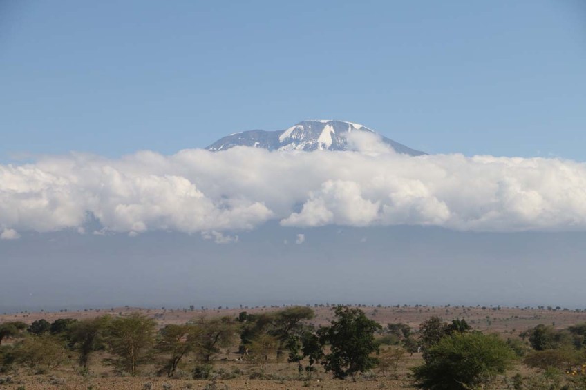 Nature, African, Tanzanian, Moshi, Tanzania, Kilimanjaro