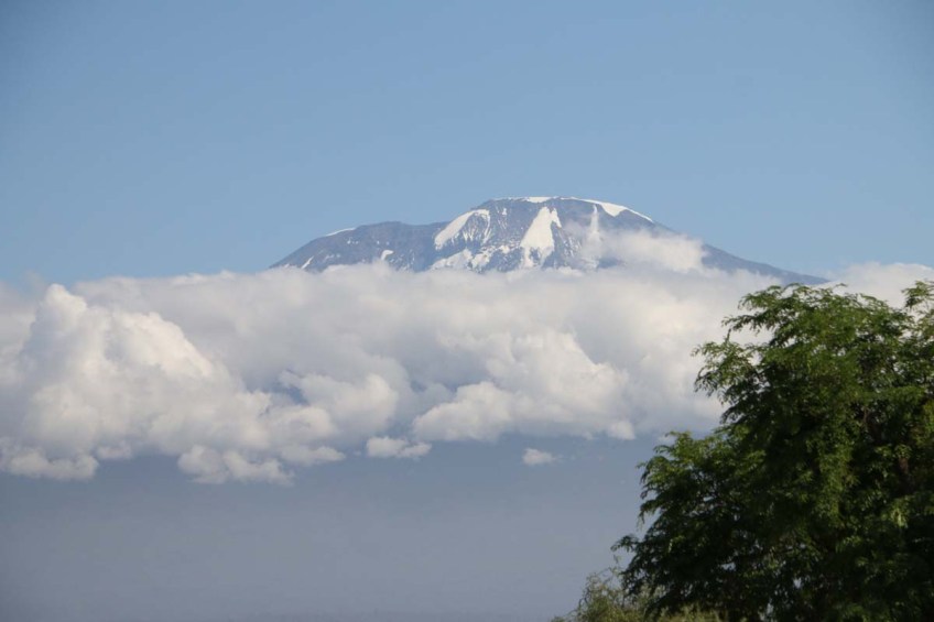 Nature, African, Tanzanian, Moshi, Tanzania, Kilimanjaro