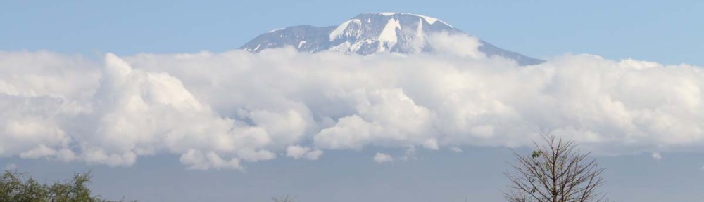 Nature, African, Tanzanian, Moshi, Tanzania, Kilimanjaro