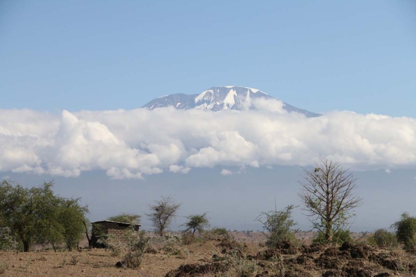 Nature, African, Tanzanian, Moshi, Tanzania, Kilimanjaro