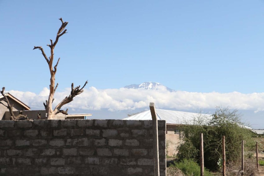 Nature, African, Tanzanian, Moshi, Tanzania, Kilimanjaro