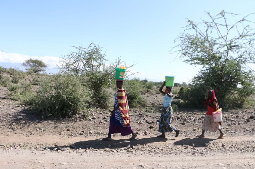 People, African, Tanzanian, Moshi, Tanzania, Kilimanjaro