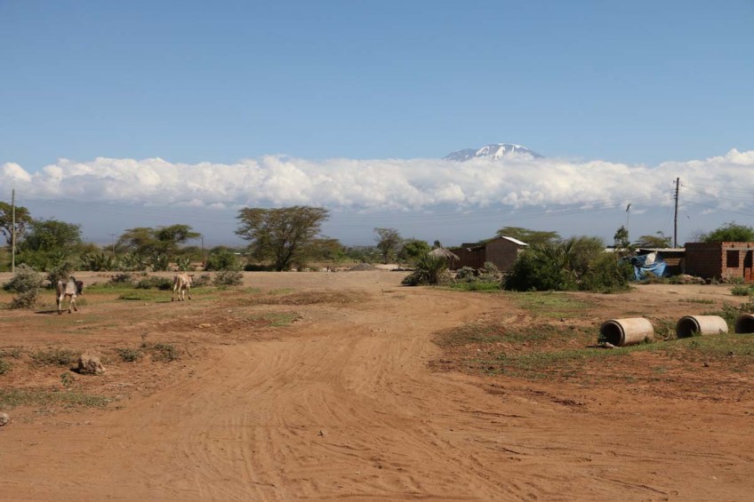 Nature, African, Tanzanian, Moshi, Tanzania, Kilimanjaro