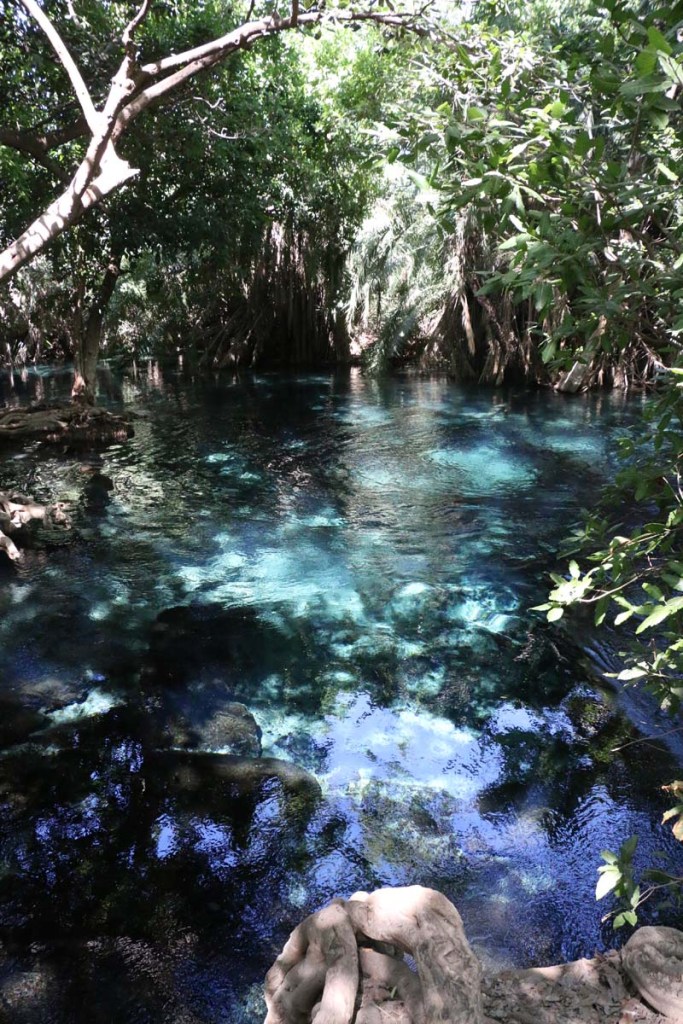 Kikuletwa, hot springs, water, africa, tanzania, african, nature, magic, divine