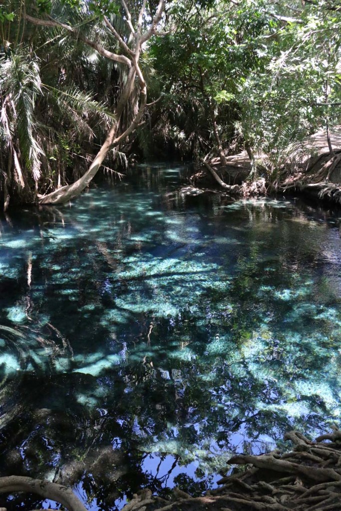 Kikuletwa, hot springs, water, africa, tanzania, african, nature, magic, divine