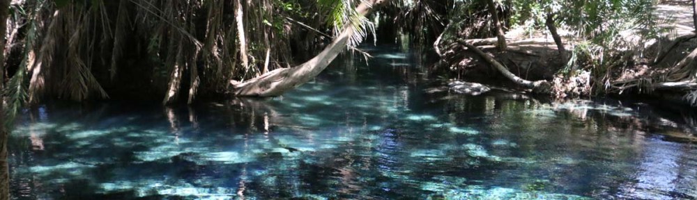 Kikuletwa, hot springs, water, africa, tanzania, african, nature, magic, divine