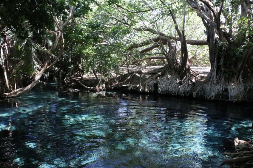 Kikuletwa, hot springs, water, africa, tanzania, african, nature, magic, divine