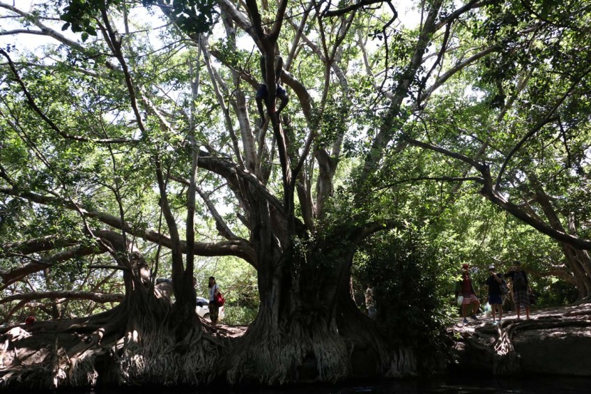 Kikuletwa, hot springs, water, africa, tanzania, african
