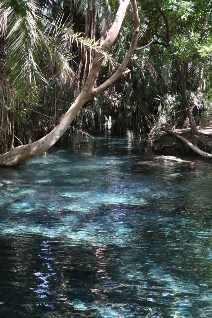 Kikuletwa, hot springs, water, africa, tanzania, african, nature, magic, divine