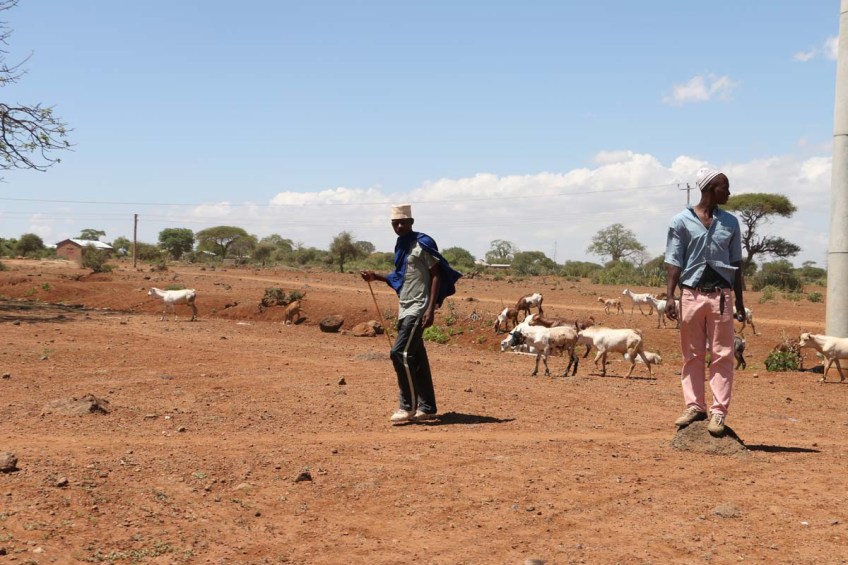 People, African, Tanzanian, Moshi, Tanzania, Kilimanjaro