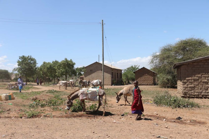 People, African, Tanzanian, Moshi, Tanzania, Kilimanjaro