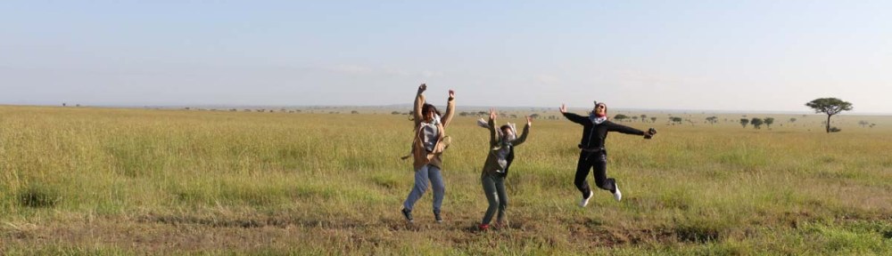 safari-tanzania-serengetti-safari-animal-jungle-113