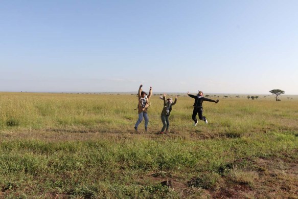 safari-tanzania-serengetti-safari-animal-jungle-113