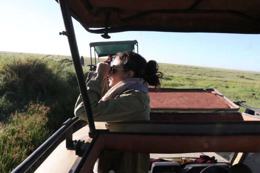 safari-tanzania-serengetti-safari-animal-jungle-113