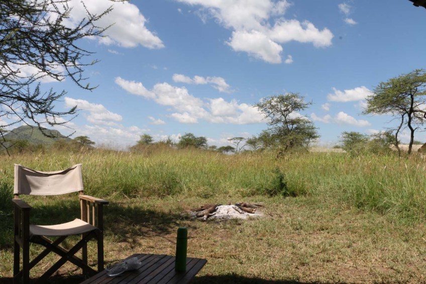 safari-tanzania-serengetti-safari-animal-jungle-113