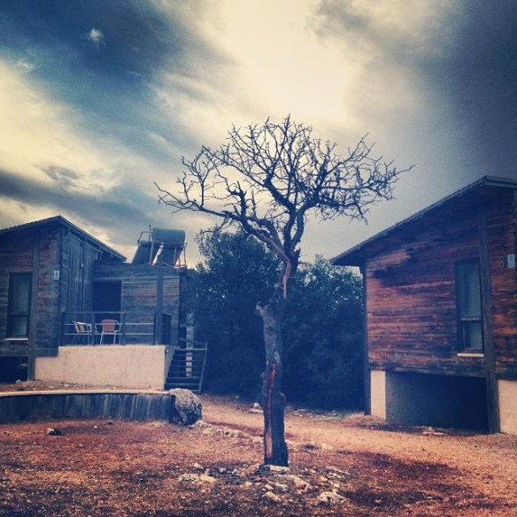 Crisis, storm, hole, choices, daily prompt