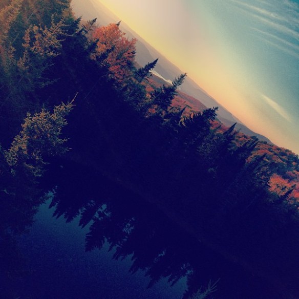 layers, nature, life, love, earth